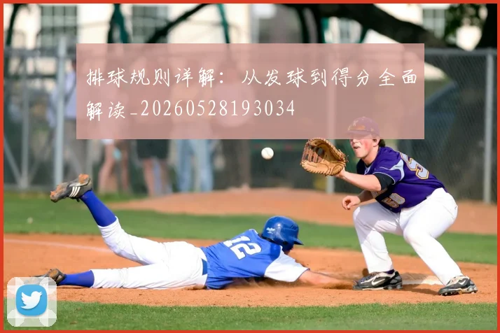 排球规则详解:从发球到得分全面解读_20260528193034