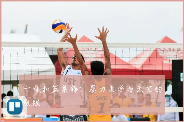十佳扣篮集锦:暴力美学与天空的极限