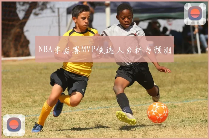NBA季后赛MVP候选人分析与预测