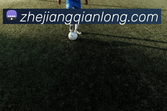 开云kaiyun网站平台生态图